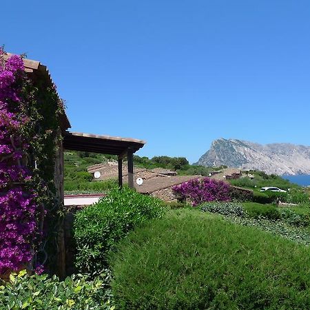 Casa Molara Villa San Teodoro  Habitación foto