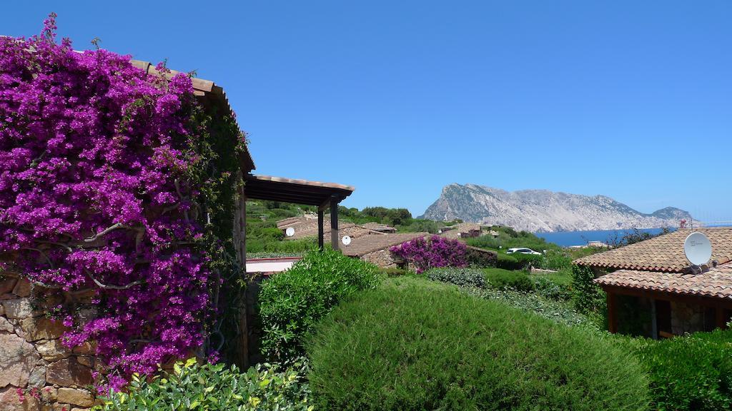 Casa Molara Villa San Teodoro  Habitación foto